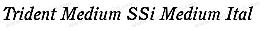 Trident Medium SSi Medium Italic字体转换